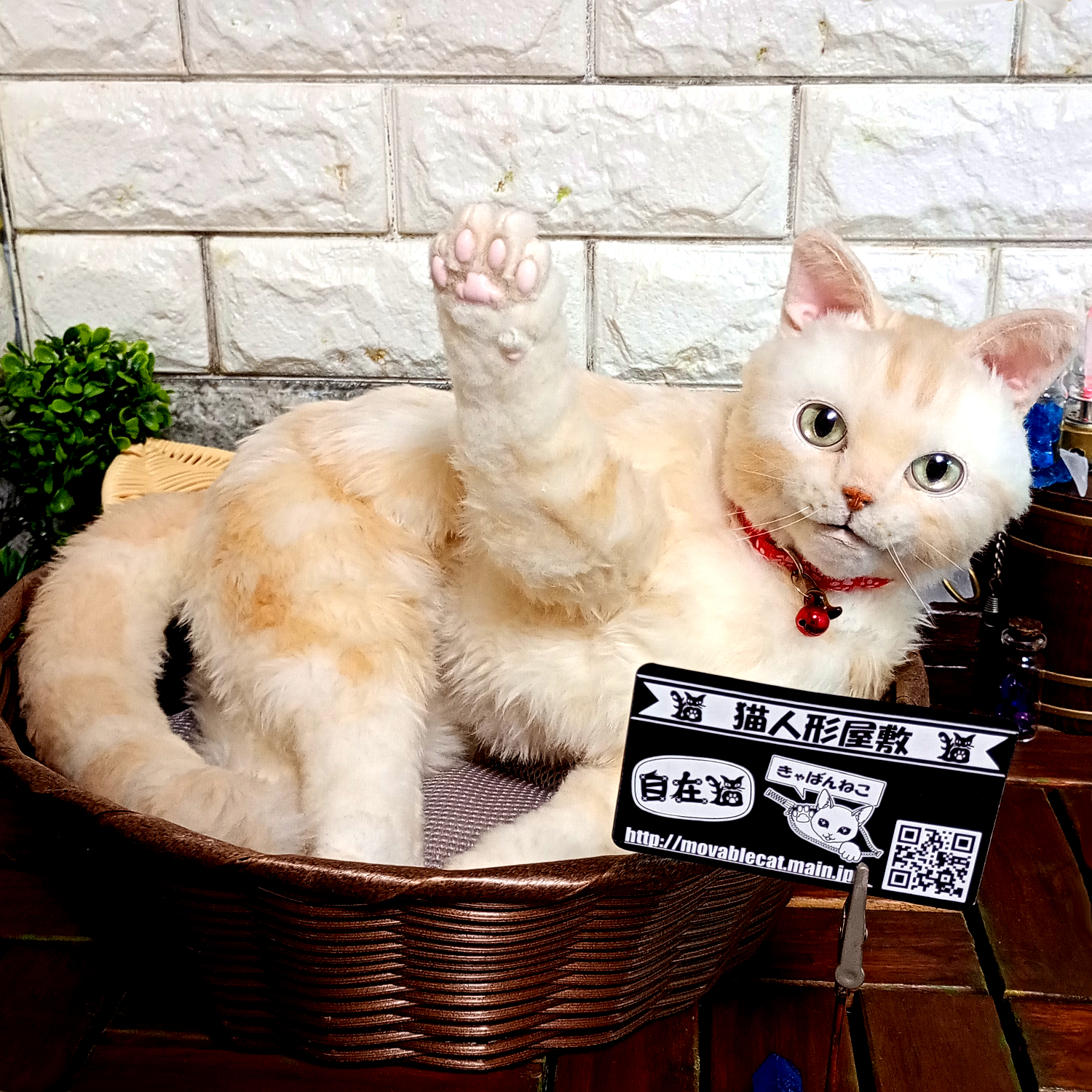 チャトラの自在猫