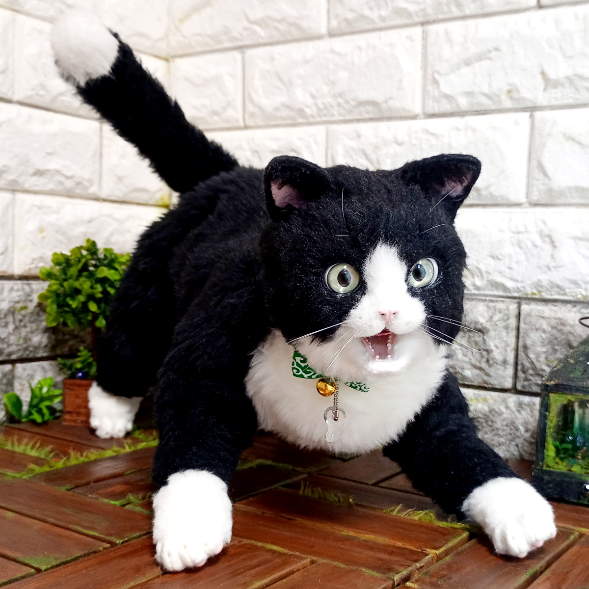 ハチワレの自在猫