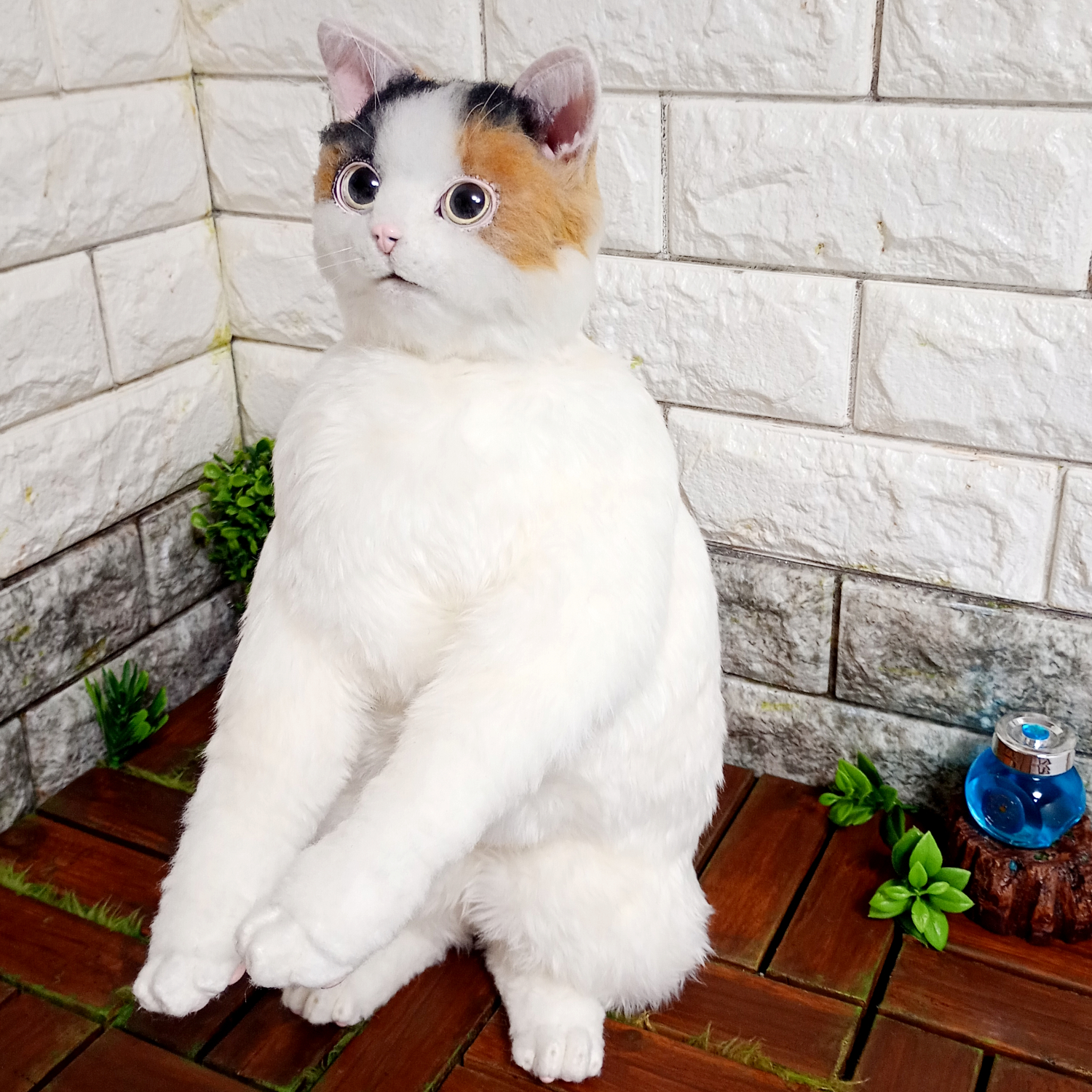 三毛猫の自在猫