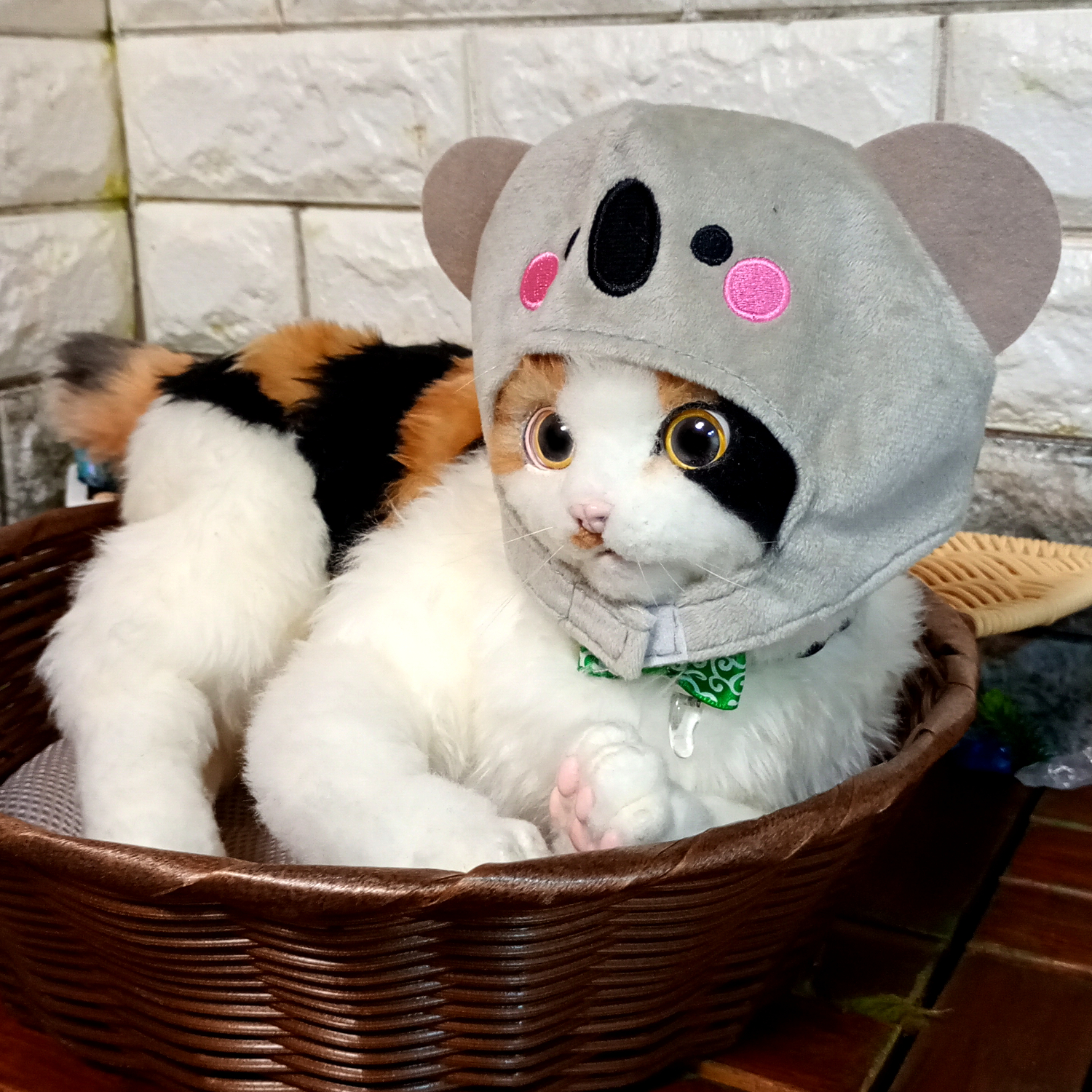 三毛猫の自在猫