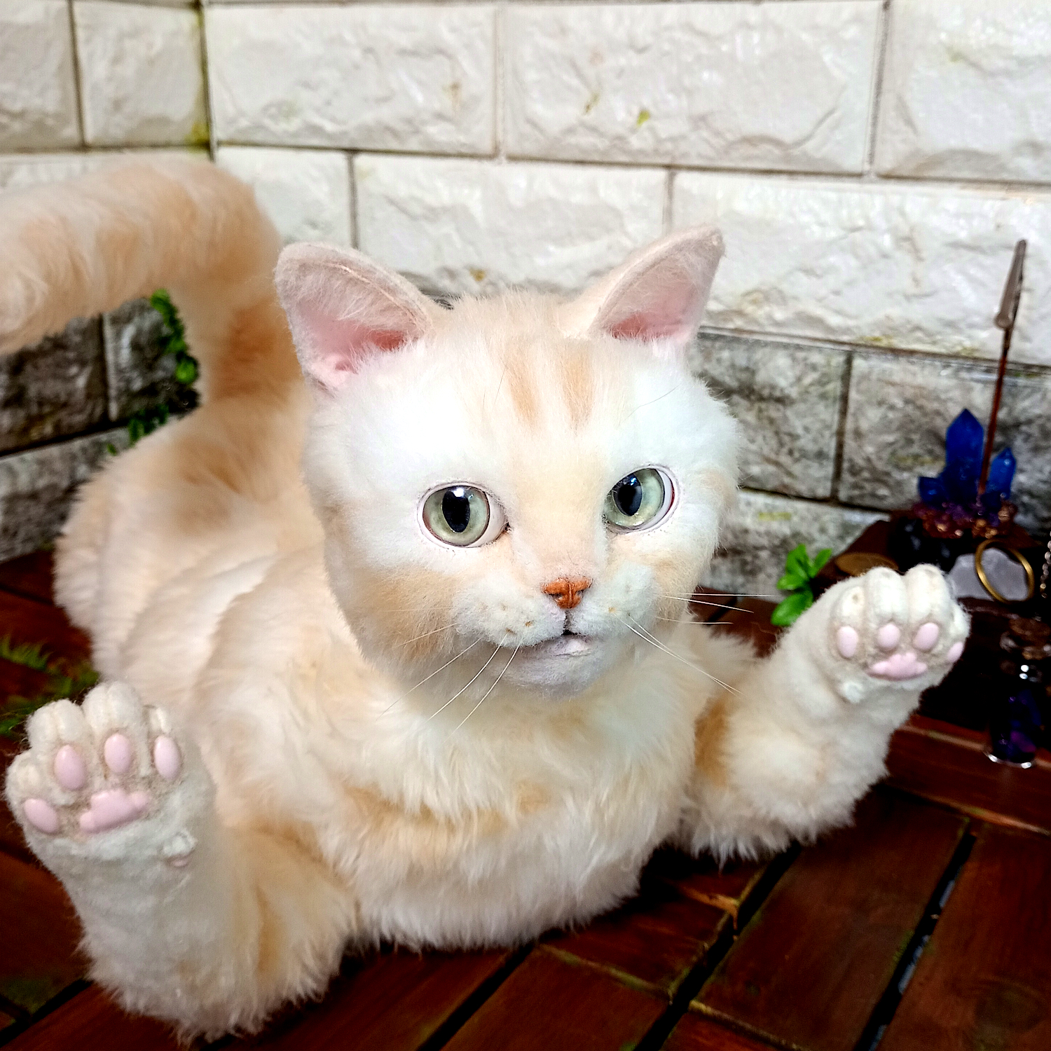 チャトラの自在猫